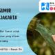 Biaya Sumur Bor di Jakarta Timur